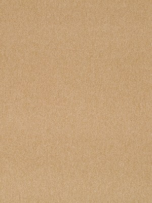 SOFT SOLID | STARDUST