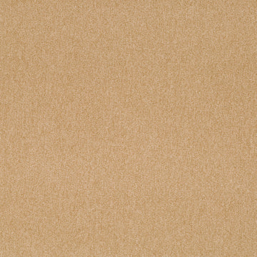 SOFT SOLID | STARDUST