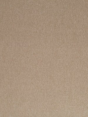 SOFT SOLID | JASPER
