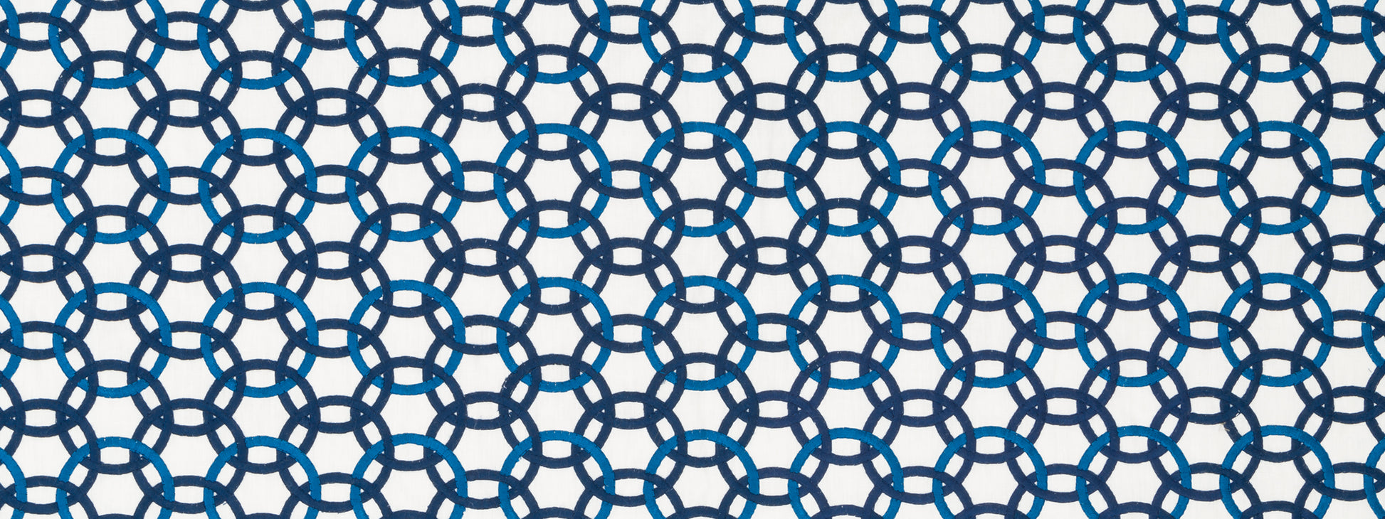 MOMENTUM | INDIGO