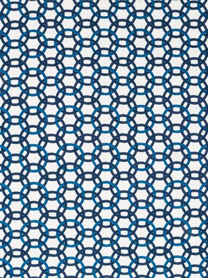 MOMENTUM | INDIGO
