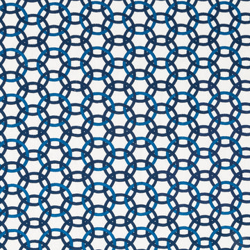 MOMENTUM | INDIGO