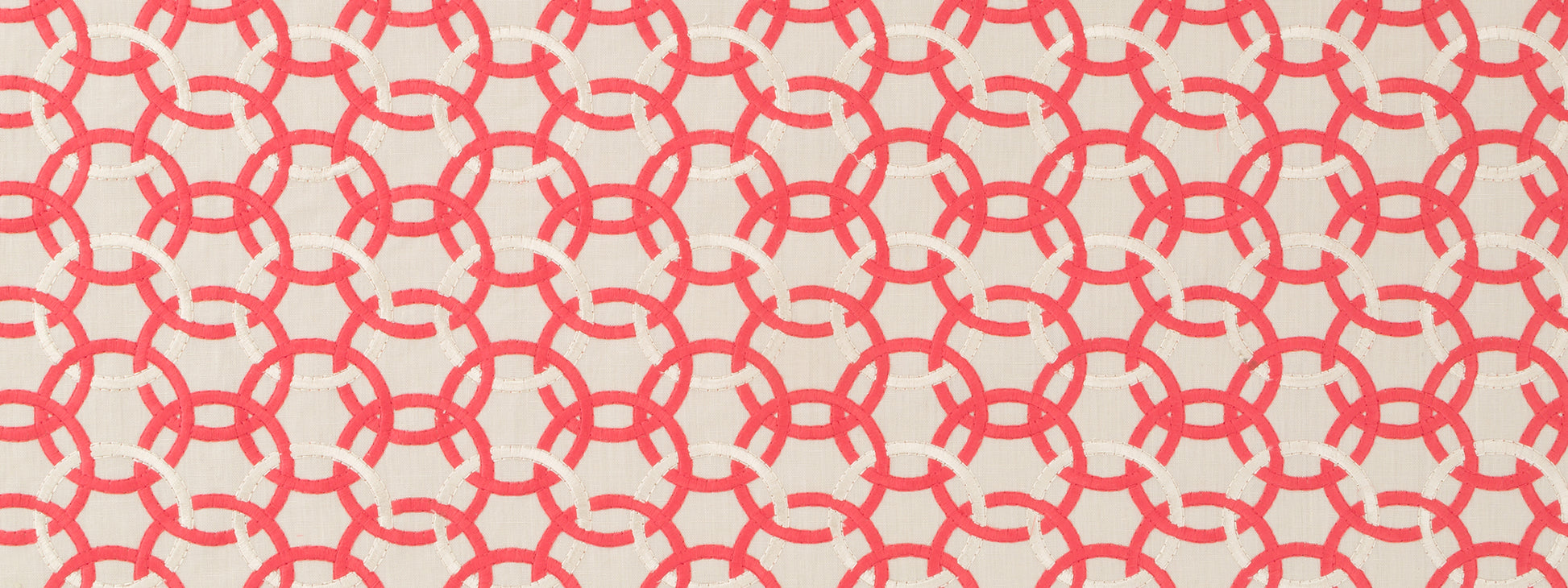 MOMENTUM | CORAL