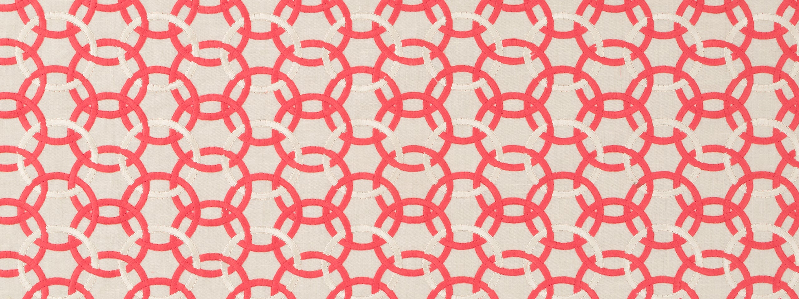 MOMENTUM | CORAL