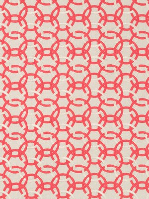 MOMENTUM | CORAL