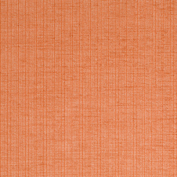 PALETTE LINES | CARNELIAN