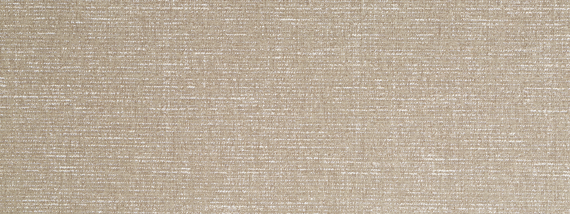 Texture Field | Abalone