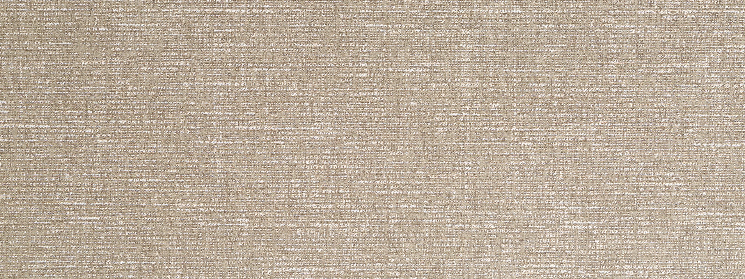 Texture Field | Abalone