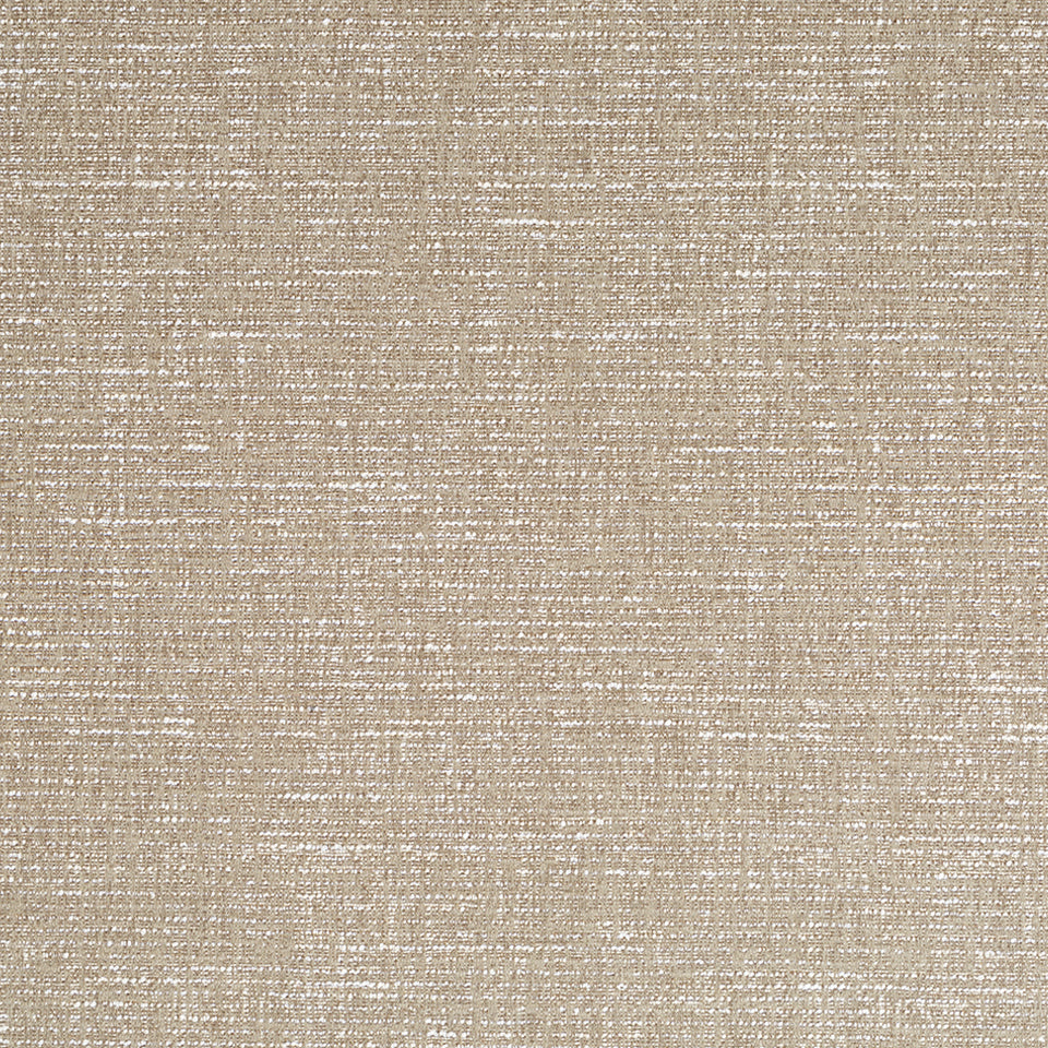 Texture Field | Abalone