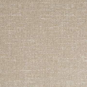 Texture Field | Abalone
