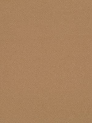 CAMELLO WOOL | CAMEL - Multi-purpose