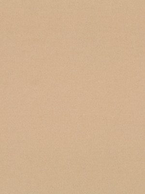 Camello Wool | Bisque - Multi-purpose
