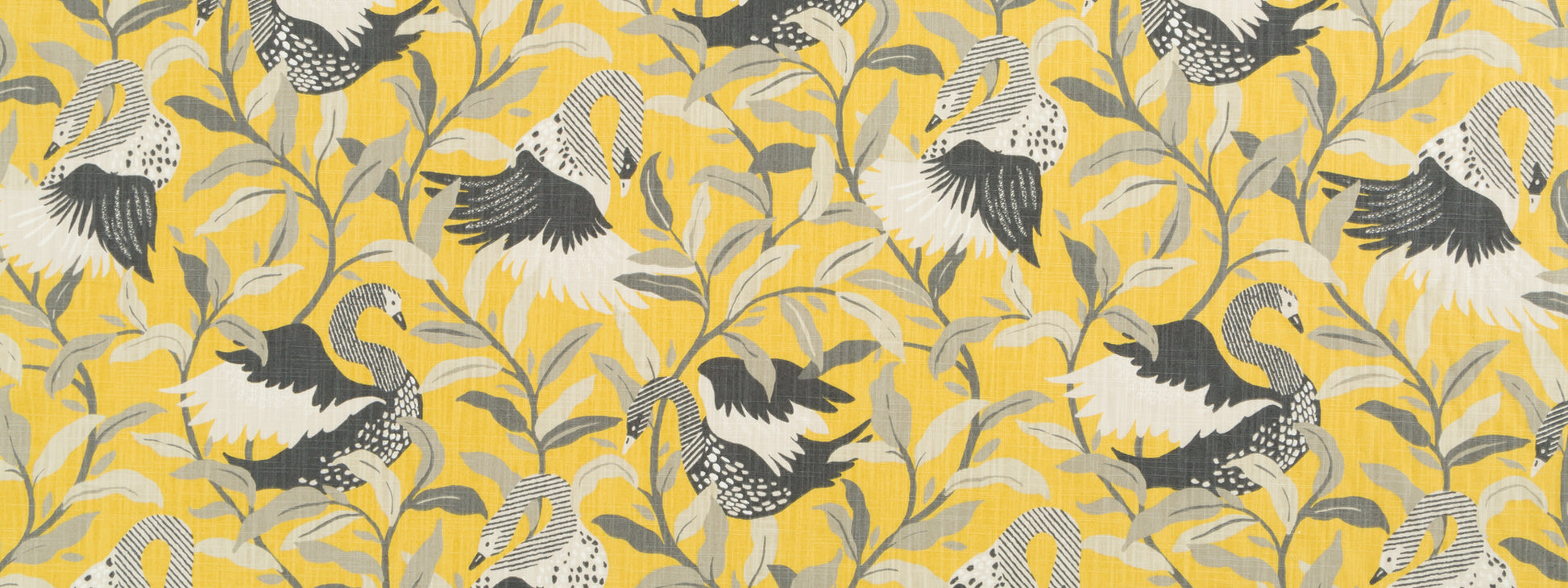 SWANWOOD | SAFFRON