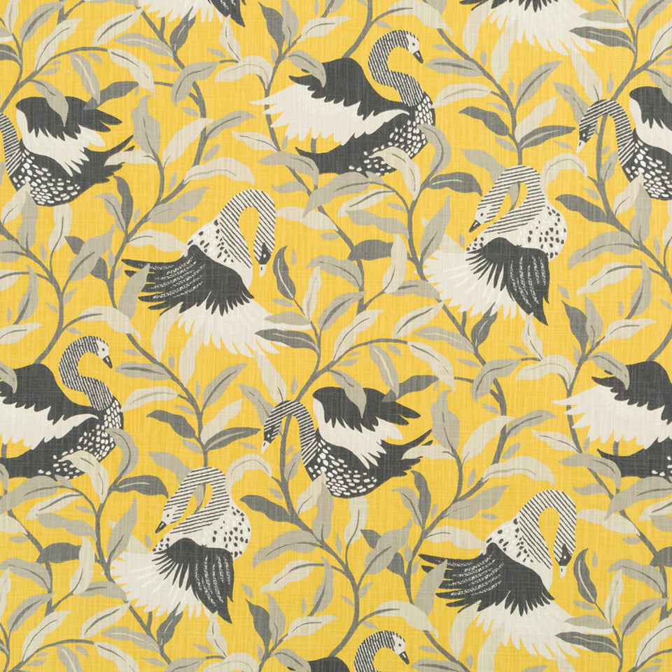 SWANWOOD | SAFFRON