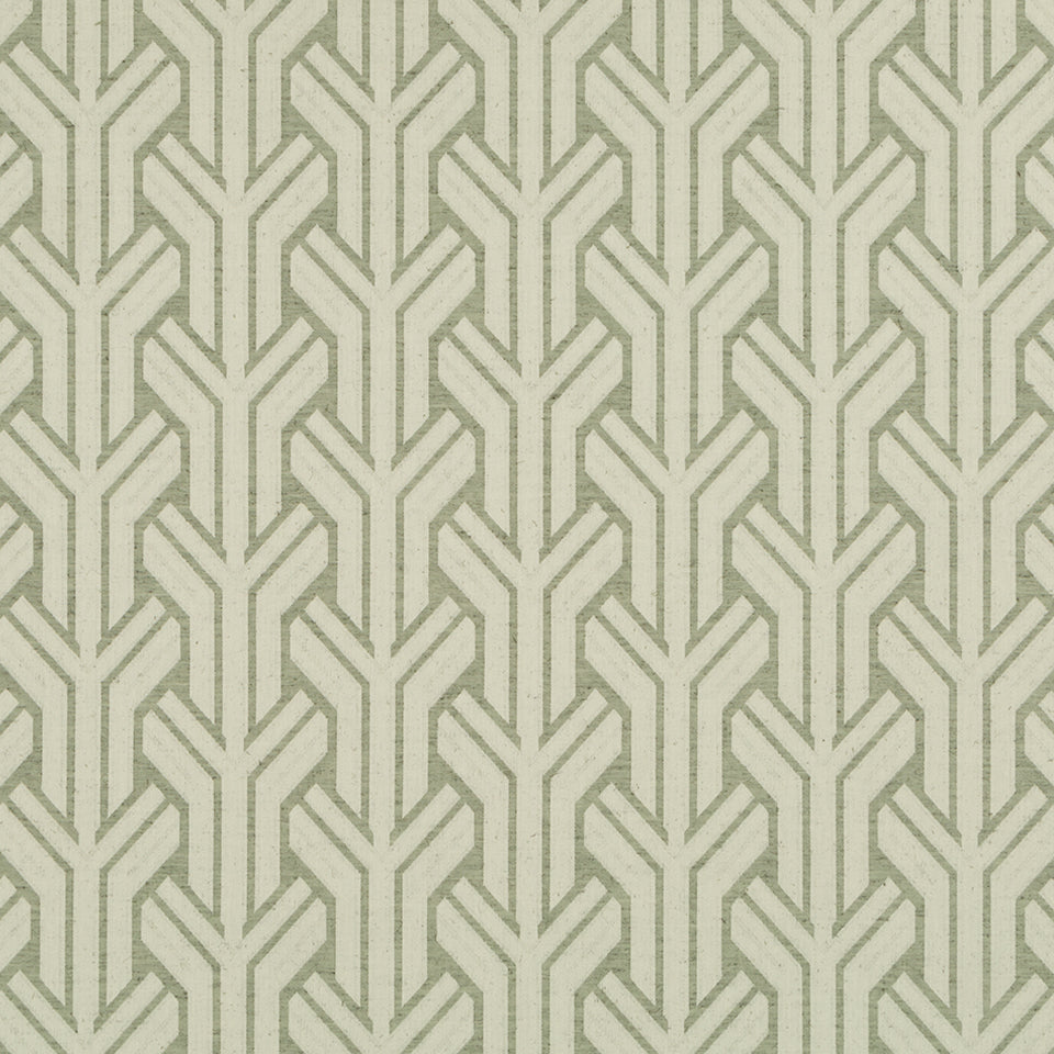 DART OVER | MOSS