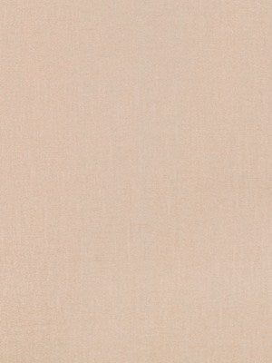 GLEAM DREAM | BLUSH