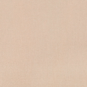 GLEAM DREAM | BLUSH