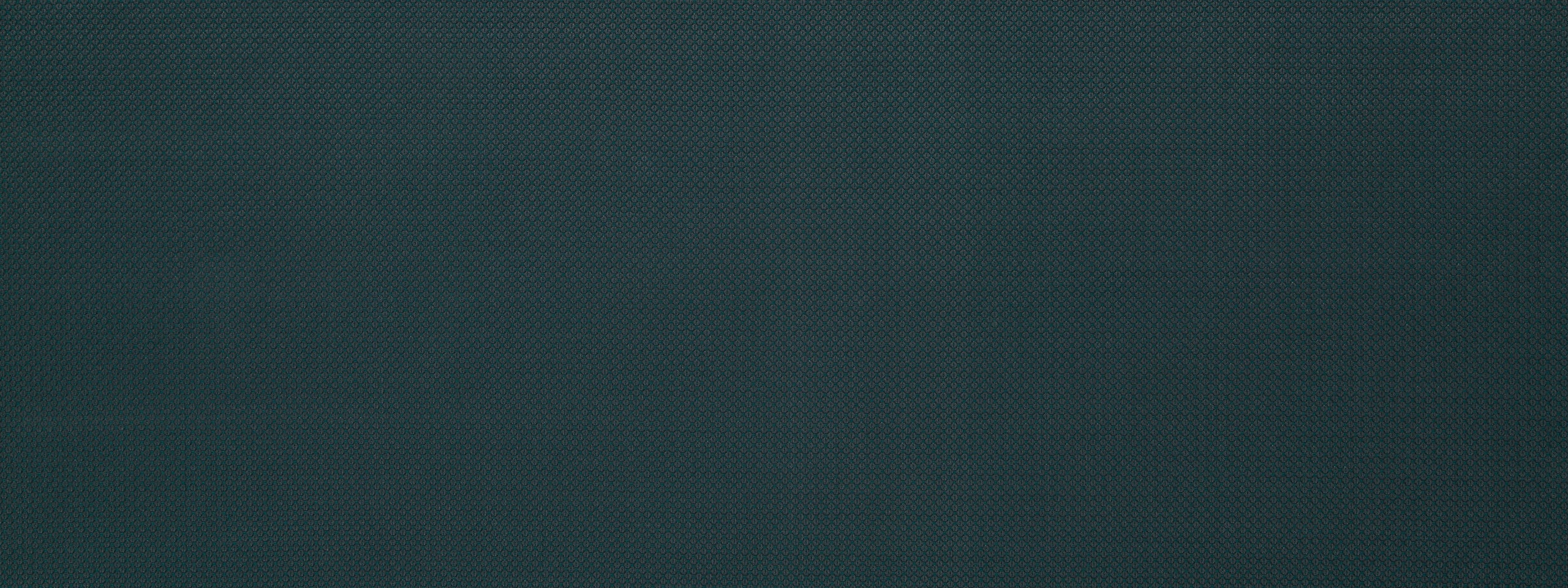 MERRY DOT | BLUE PINE