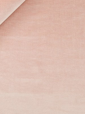 SAVOY | ROSE QUARTZ