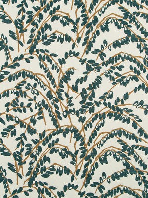 OLIVE BRANCH | BLUE PINE