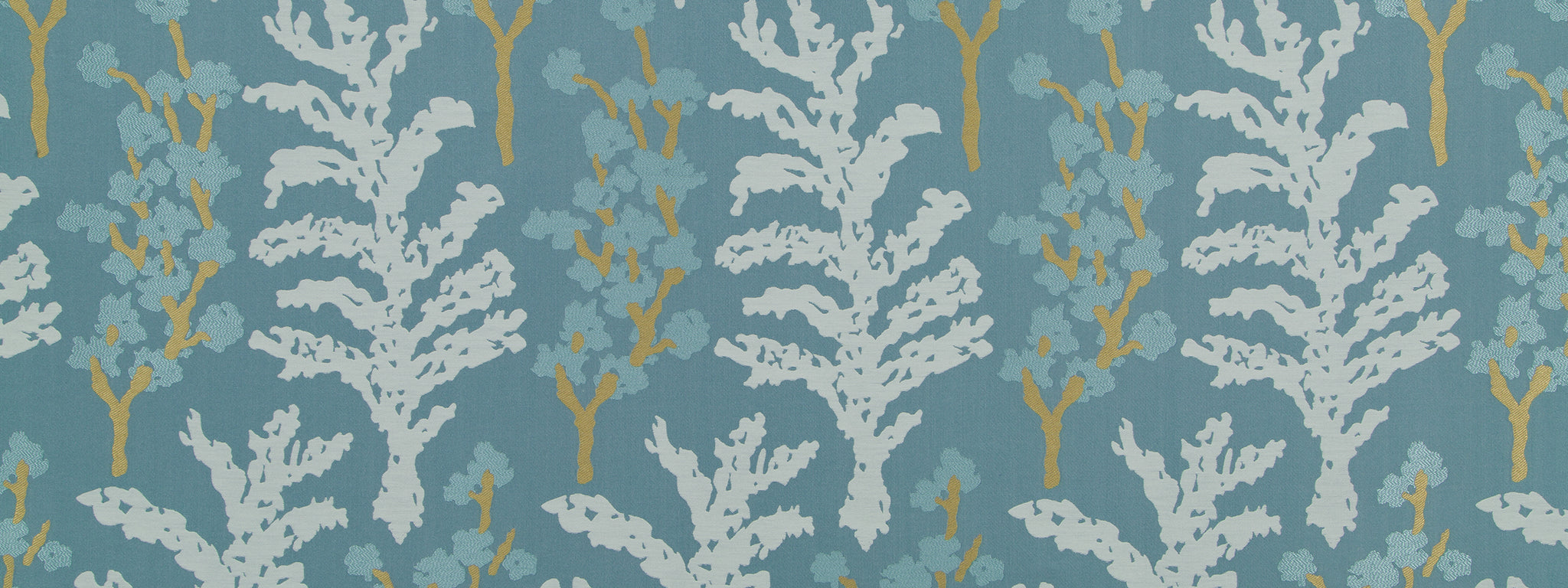 SERENE FERN | BLUE PINE