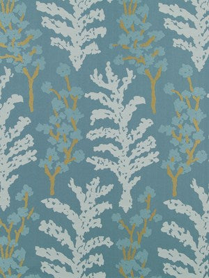 SERENE FERN | BLUE PINE