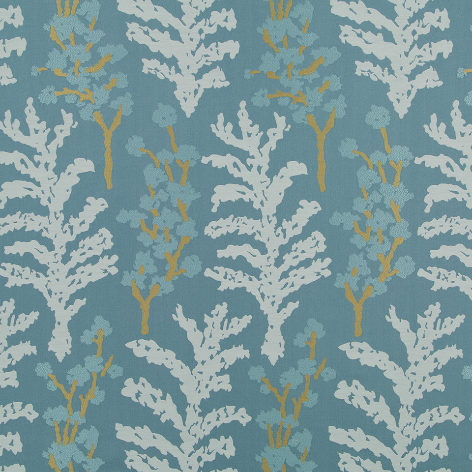 SERENE FERN | BLUE PINE