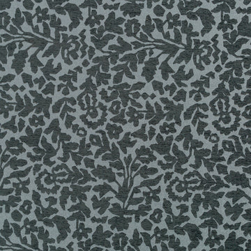 FRANGIA BK | GRAPHITE