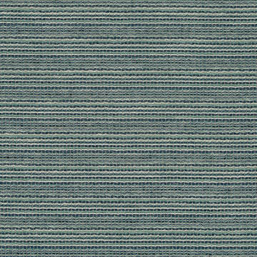 DISHER | BLUE PINE
