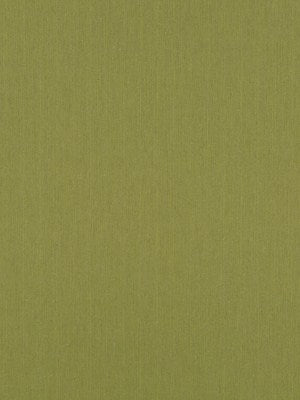 LINEN ENDURE | SPRING GRASS