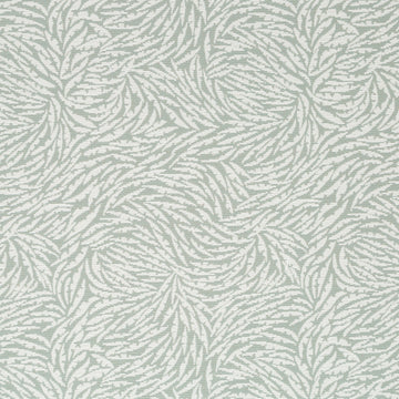 Calappo Bk | Aquatint