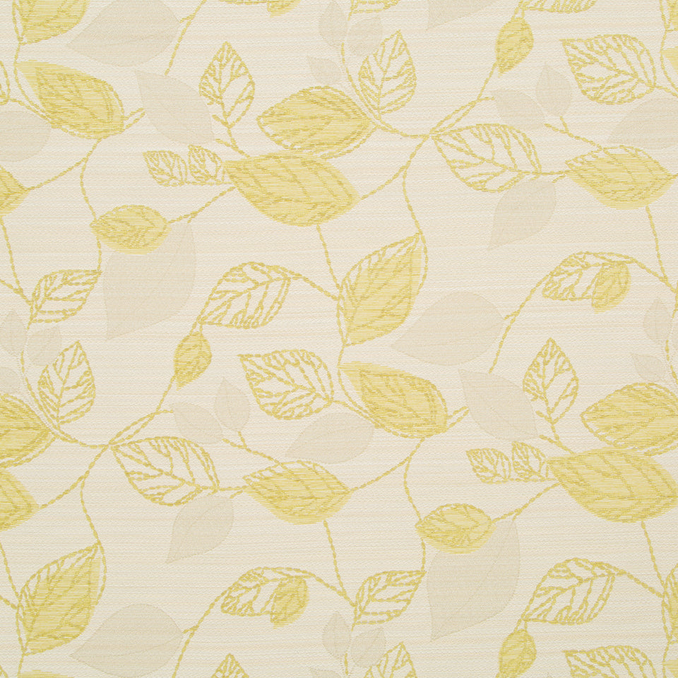 EVENING BREEZE | CHARTREUSE