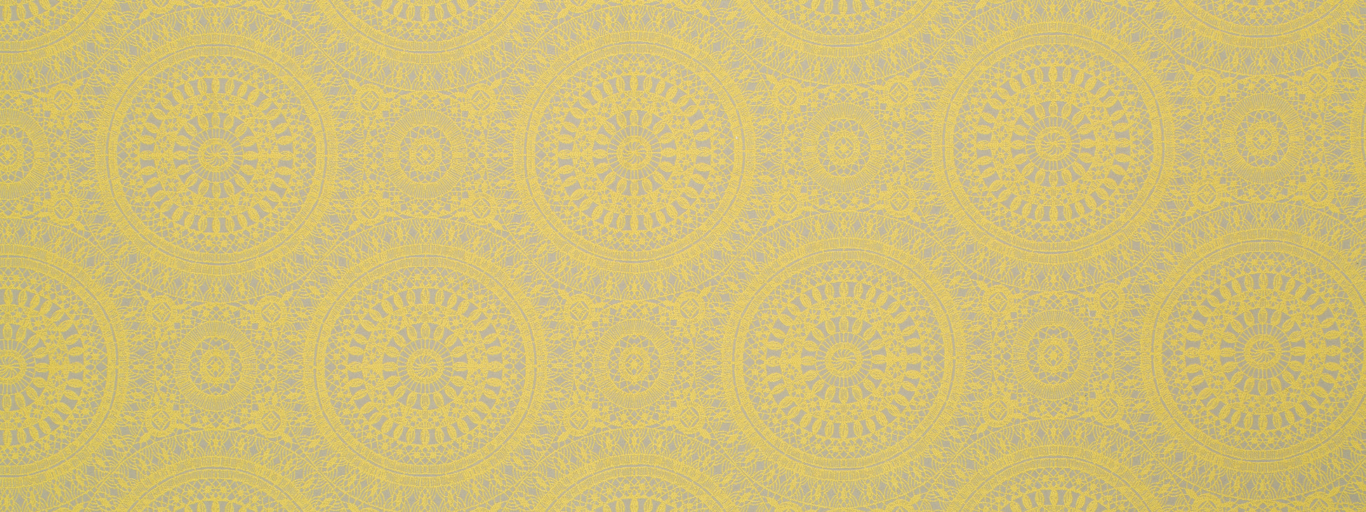 SPACE ODDITY | CITRUS
