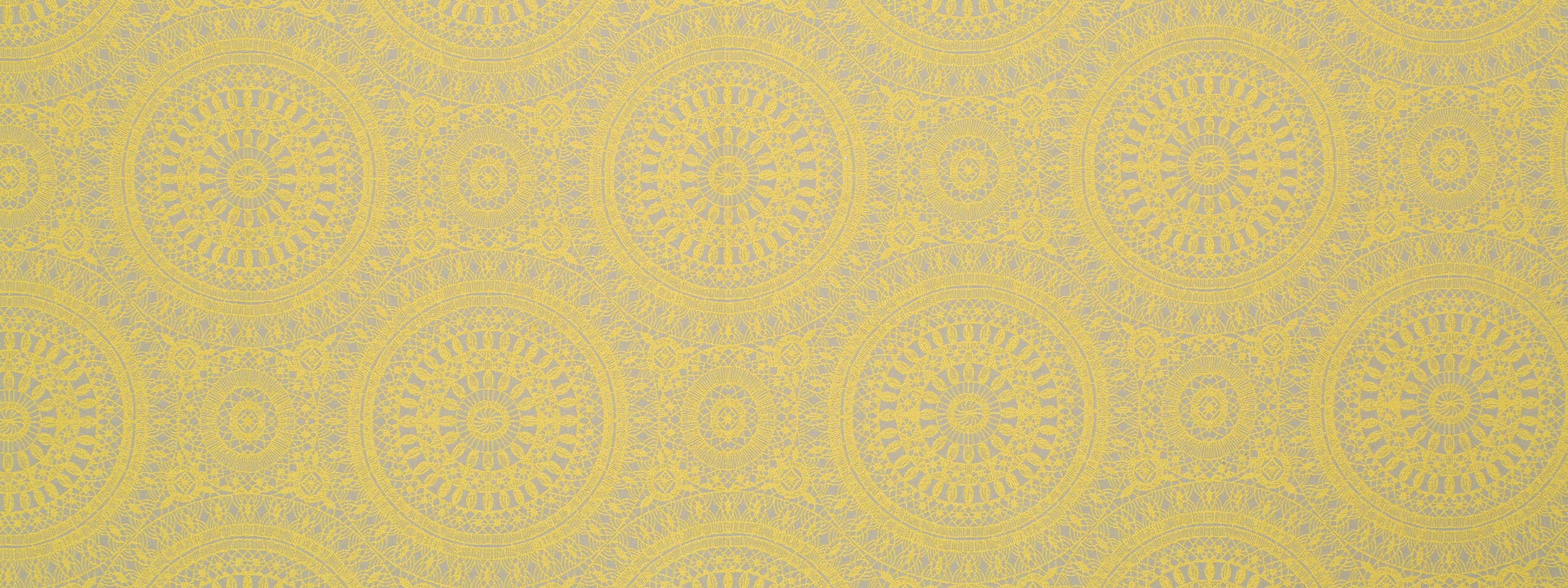 SPACE ODDITY | CITRUS