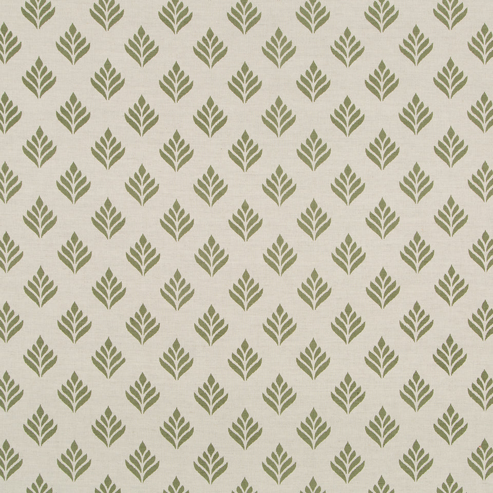 HYDRILLA | MOSS