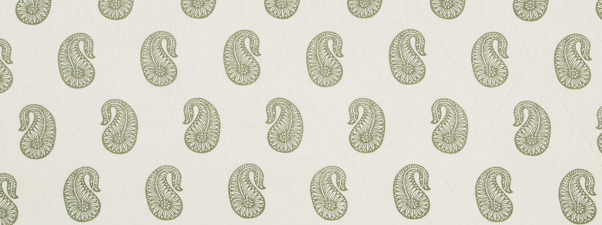 PAZETTE | MOSS