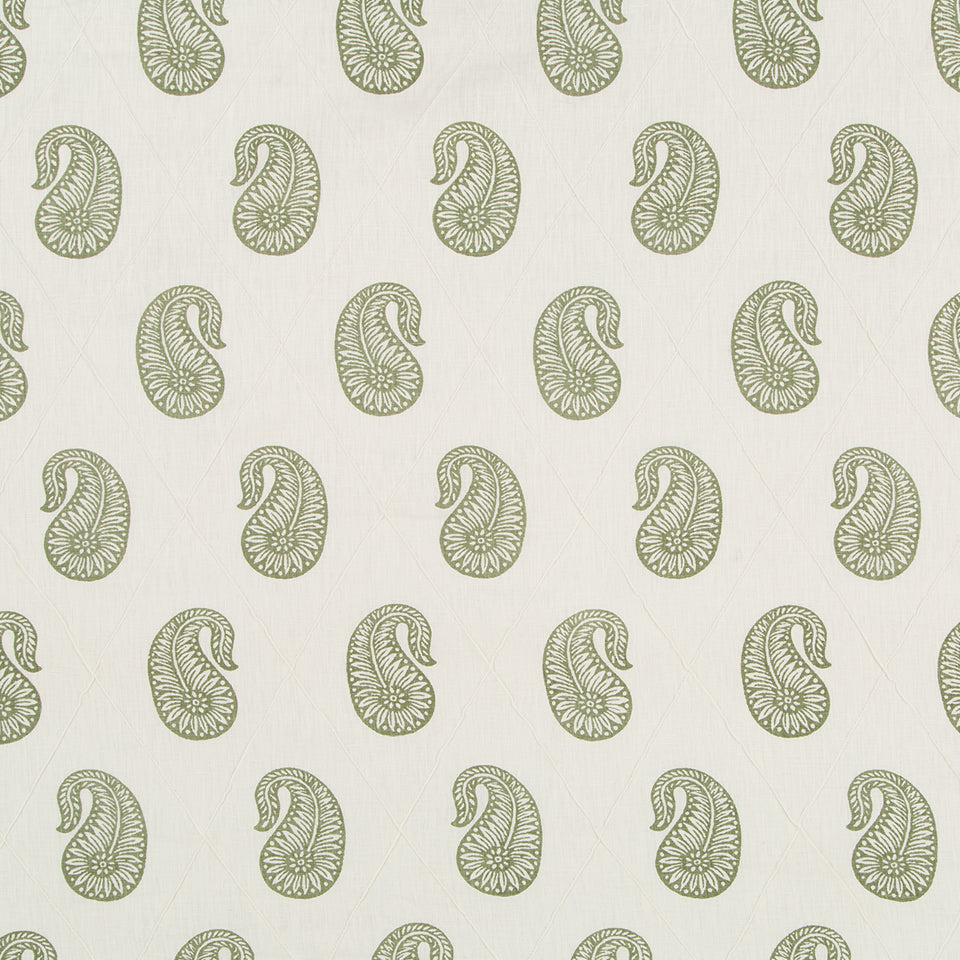 PAZETTE | MOSS