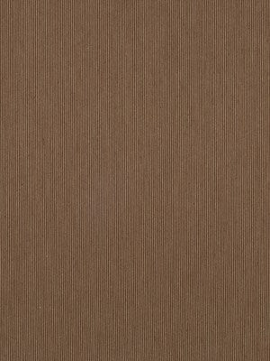 ZELDA STRIPE | CAROB