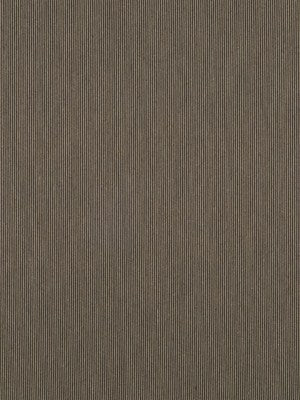 ZELDA STRIPE | ONYX