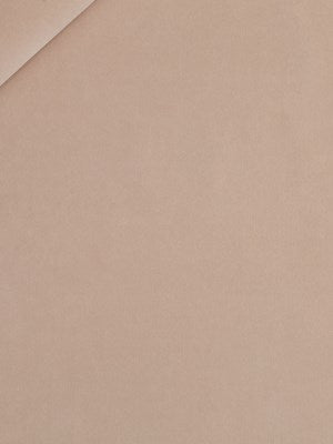 ODE | BLUSH