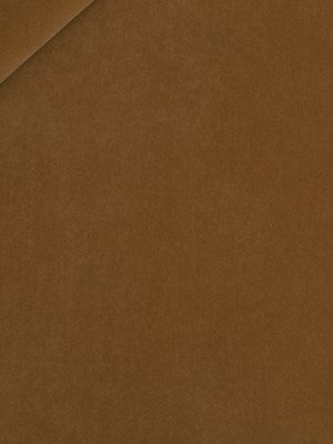 Ode | Amber - Multi-purpose