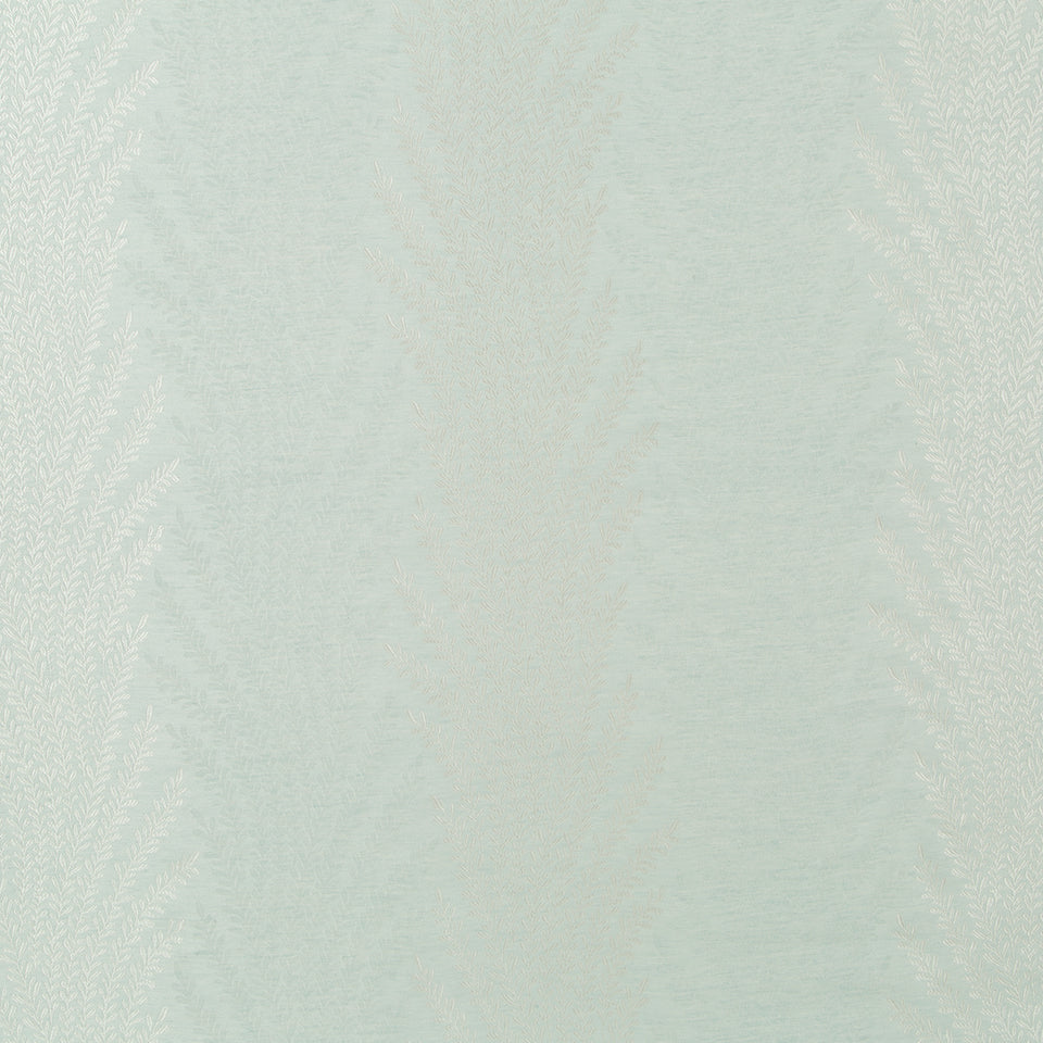 FERN FROND | SKY