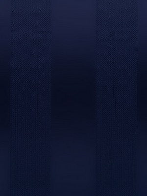 Sabrina Stripe | Navy