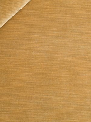 Percussion | Flax - Multi-purpose