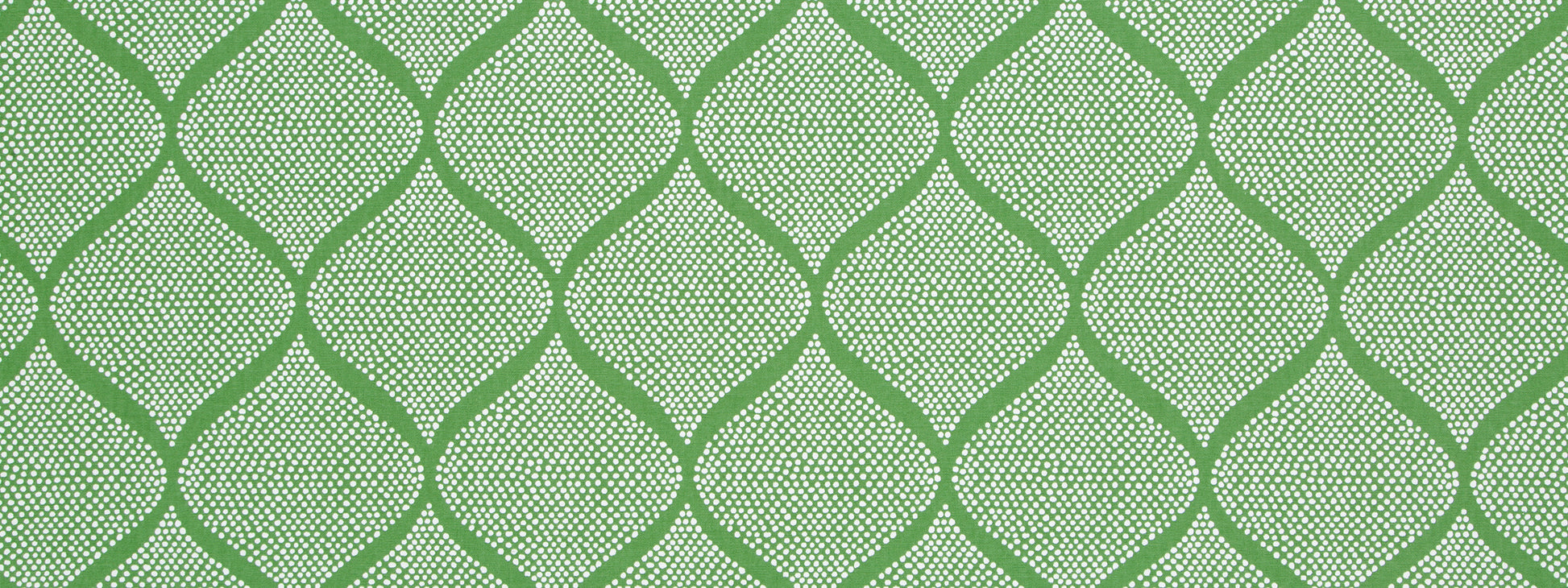 MOCAMBO | GRASS