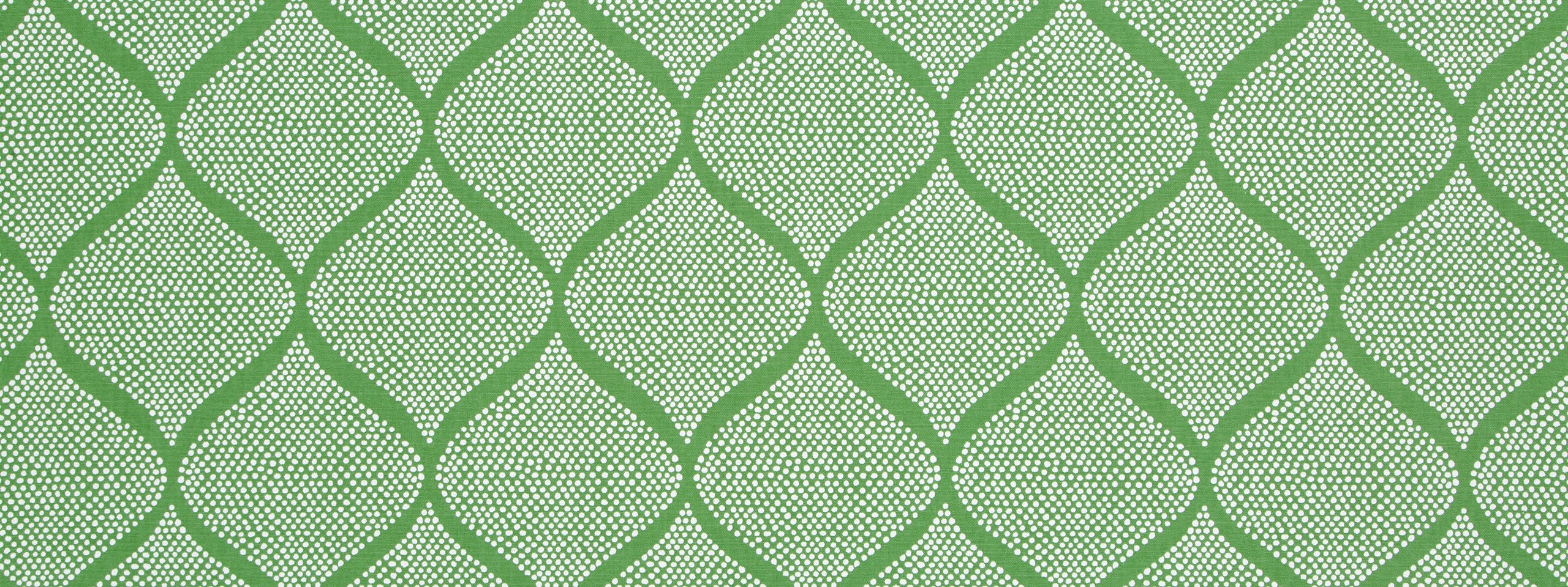 MOCAMBO | GRASS