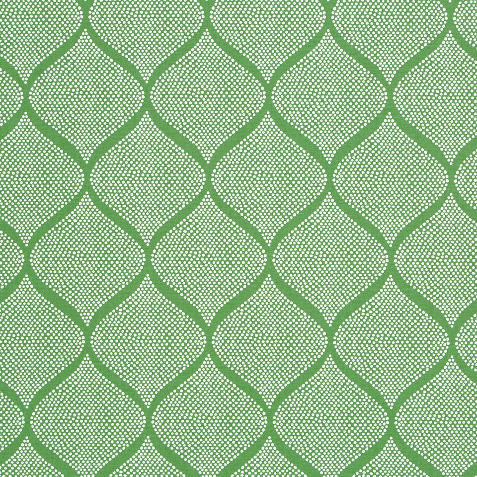 MOCAMBO | GRASS
