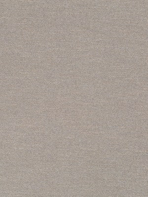 Boucle Glam | Zinc
