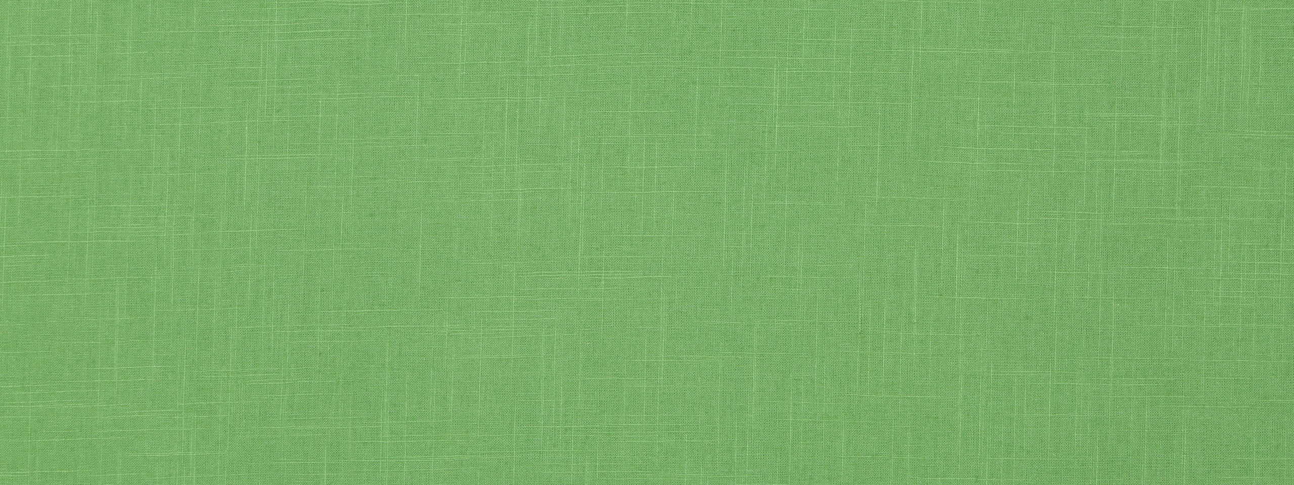 LINEN SLUB | GRASS