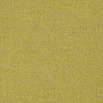 Refined Boucle | Chartreuse